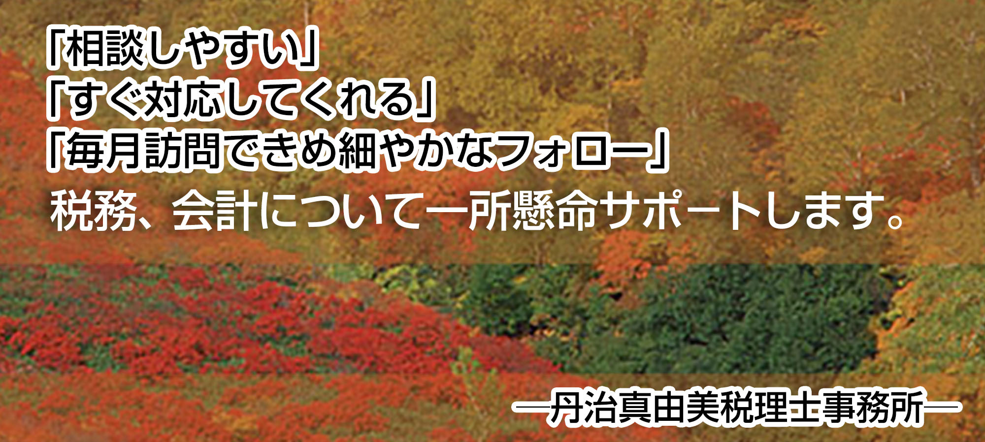 税務、会計について一所懸命サポ－トします。